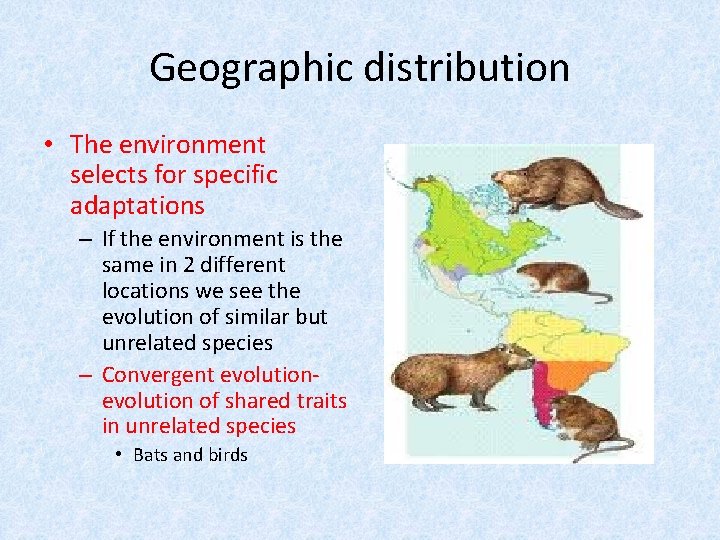 Geographic distribution • The environment selects for specific adaptations – If the environment is