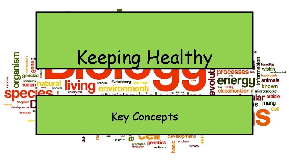 Keeping Healthy Key Concepts 