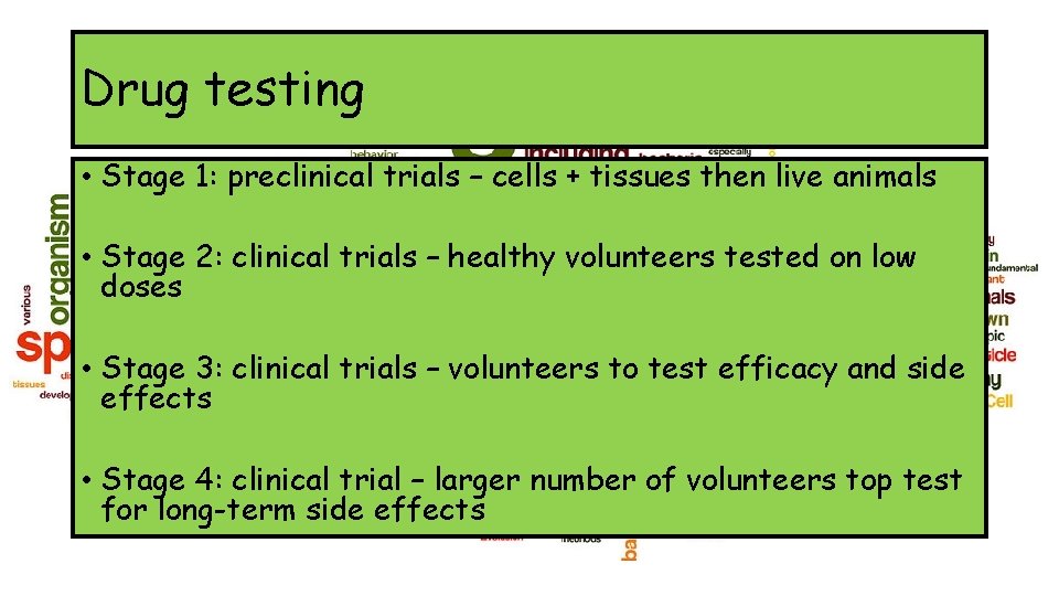 Drug testing • Stage 1: preclinical trials – cells + tissues then live animals