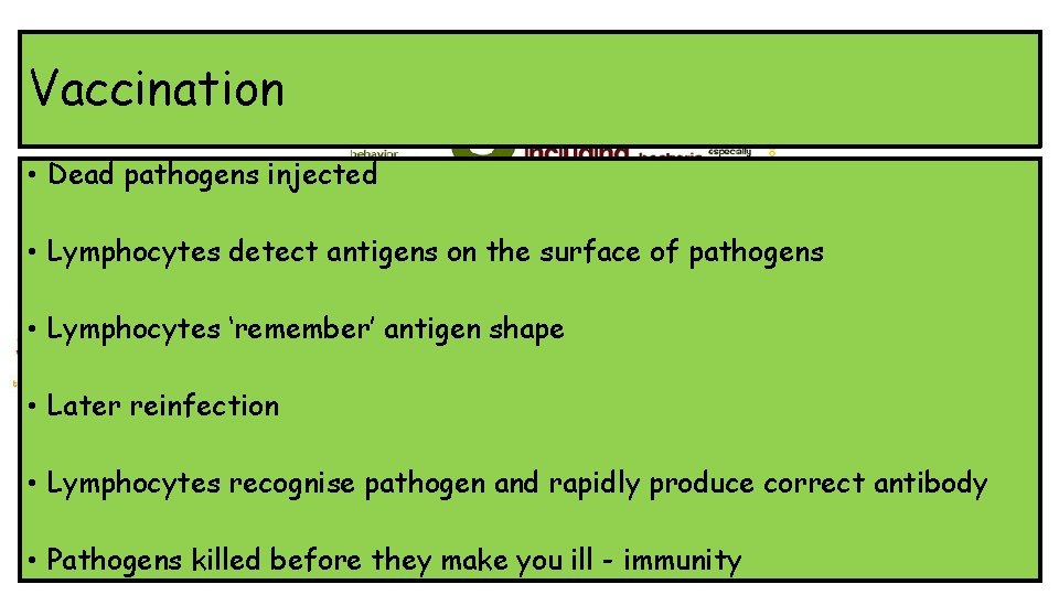 Vaccination • Dead pathogens injected • Lymphocytes detect antigens on the surface of pathogens