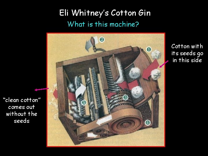 Eli Whitney’s Cotton Gin What is this machine? Cotton with its seeds go in Eli Whitney’s Cotton Gin What is this machine? Cotton with its seeds go in