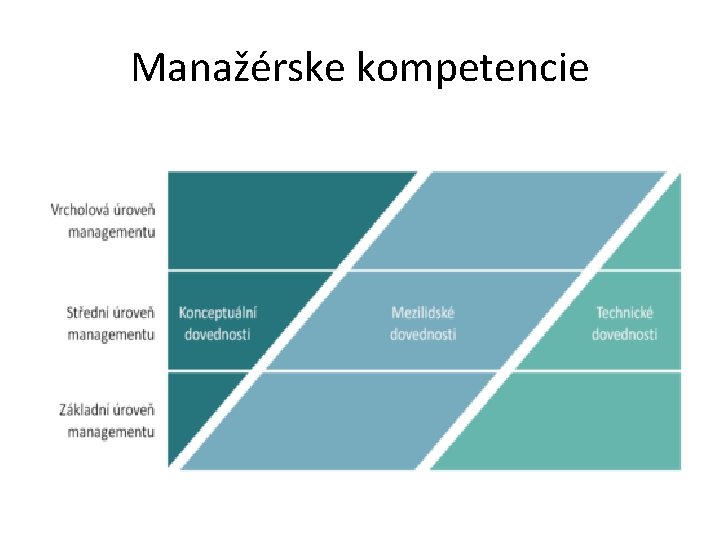 Manažérske kompetencie 