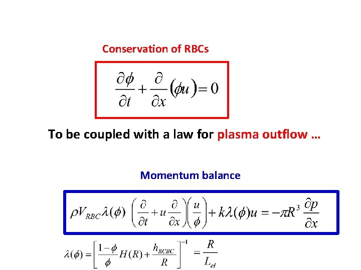 Conservation of RBCs To be coupled with a law for plasma outflow … Momentum