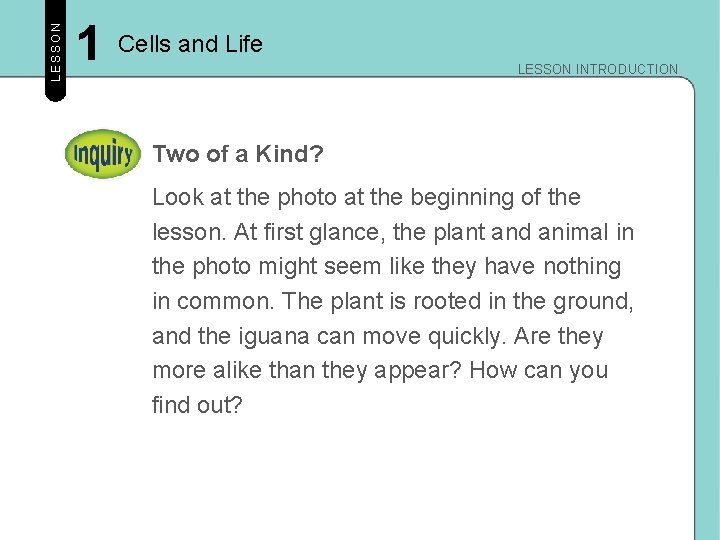 LESSON 1 Cells and Life LESSON INTRODUCTION Two of a Kind? Look at the LESSON 1 Cells and Life LESSON INTRODUCTION Two of a Kind? Look at the