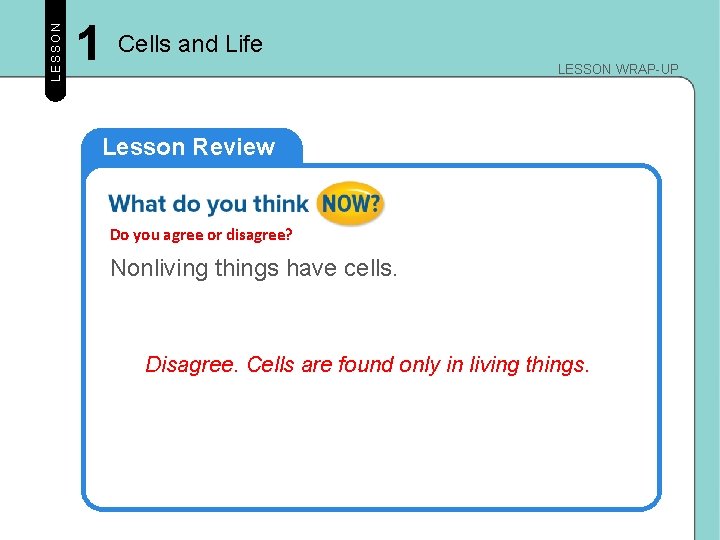 LESSON 1 Cells and Life LESSON WRAP-UP Lesson Review Do you agree or disagree? LESSON 1 Cells and Life LESSON WRAP-UP Lesson Review Do you agree or disagree?