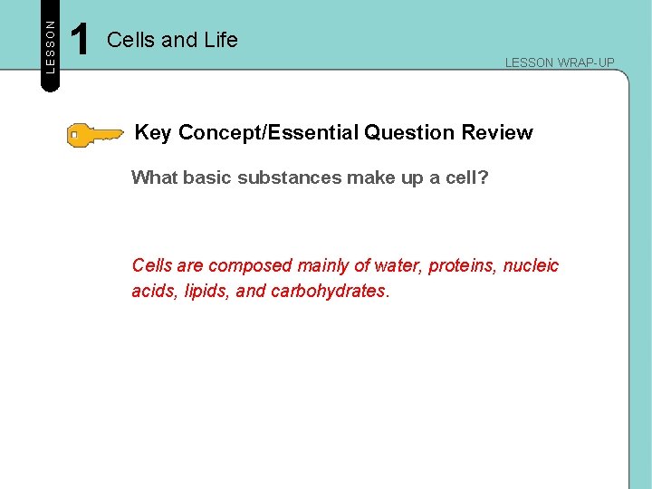 LESSON 1 Cells and Life LESSON WRAP-UP Key Concept/Essential Question Review What basic substances LESSON 1 Cells and Life LESSON WRAP-UP Key Concept/Essential Question Review What basic substances
