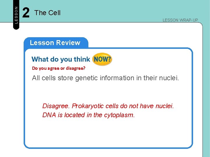 LESSON 2 The Cell LESSON WRAP-UP Lesson Review Do you agree or disagree? All LESSON 2 The Cell LESSON WRAP-UP Lesson Review Do you agree or disagree? All