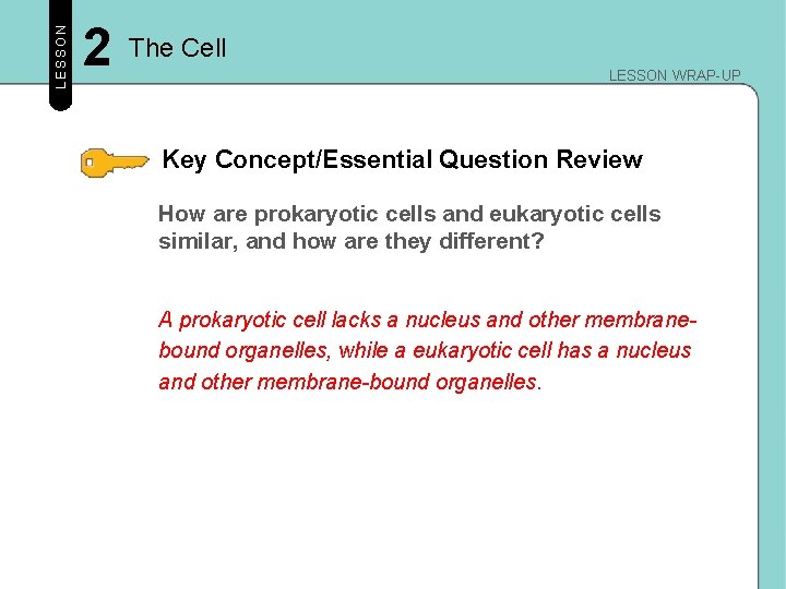 LESSON 2 The Cell LESSON WRAP-UP Key Concept/Essential Question Review How are prokaryotic cells LESSON 2 The Cell LESSON WRAP-UP Key Concept/Essential Question Review How are prokaryotic cells