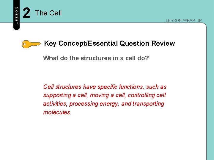 LESSON 2 The Cell LESSON WRAP-UP Key Concept/Essential Question Review What do the structures LESSON 2 The Cell LESSON WRAP-UP Key Concept/Essential Question Review What do the structures