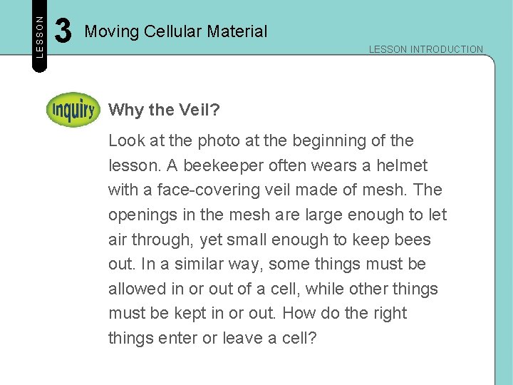 LESSON 3 Moving Cellular Material LESSON INTRODUCTION Why the Veil? Look at the photo LESSON 3 Moving Cellular Material LESSON INTRODUCTION Why the Veil? Look at the photo