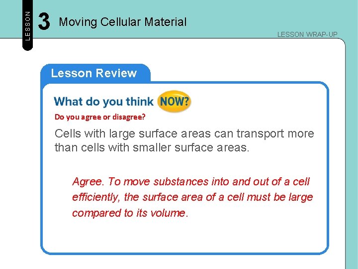 LESSON 3 Moving Cellular Material LESSON WRAP-UP Lesson Review Do you agree or disagree? LESSON 3 Moving Cellular Material LESSON WRAP-UP Lesson Review Do you agree or disagree?