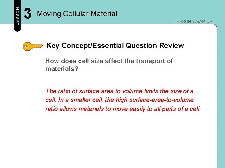 LESSON 3 Moving Cellular Material LESSON WRAP-UP Key Concept/Essential Question Review How does cell LESSON 3 Moving Cellular Material LESSON WRAP-UP Key Concept/Essential Question Review How does cell