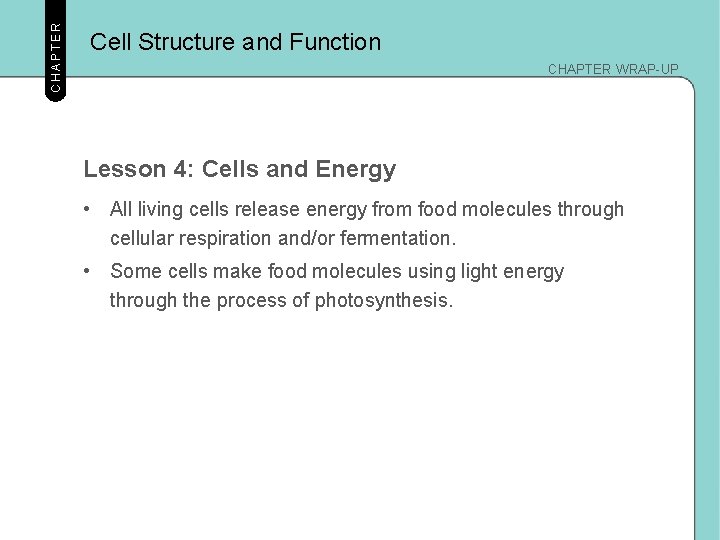 CHAPTER Cell Structure and Function CHAPTER WRAP-UP Lesson 4: Cells and Energy • All CHAPTER Cell Structure and Function CHAPTER WRAP-UP Lesson 4: Cells and Energy • All