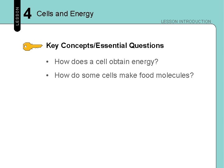 LESSON 4 Cells and Energy LESSON INTRODUCTION Key Concepts/Essential Questions • How does a LESSON 4 Cells and Energy LESSON INTRODUCTION Key Concepts/Essential Questions • How does a