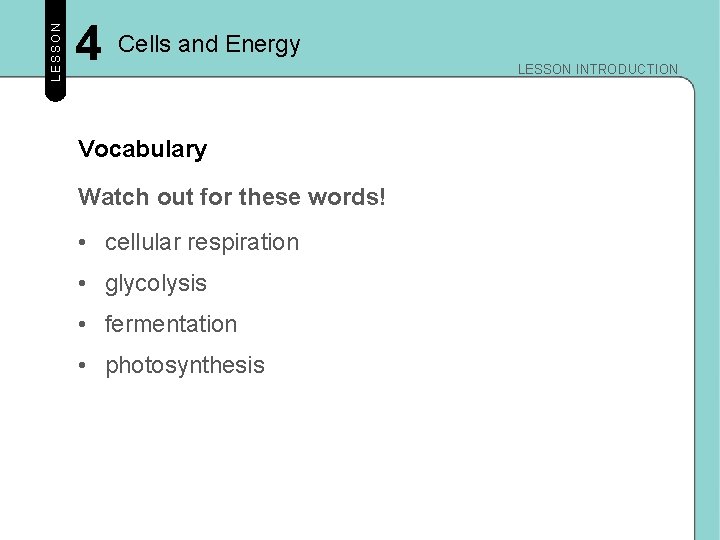 LESSON 4 Cells and Energy Vocabulary Watch out for these words! • cellular respiration LESSON 4 Cells and Energy Vocabulary Watch out for these words! • cellular respiration