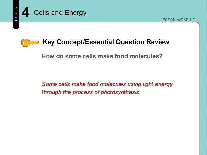 LESSON 4 Cells and Energy LESSON WRAP-UP Key Concept/Essential Question Review How do some LESSON 4 Cells and Energy LESSON WRAP-UP Key Concept/Essential Question Review How do some
