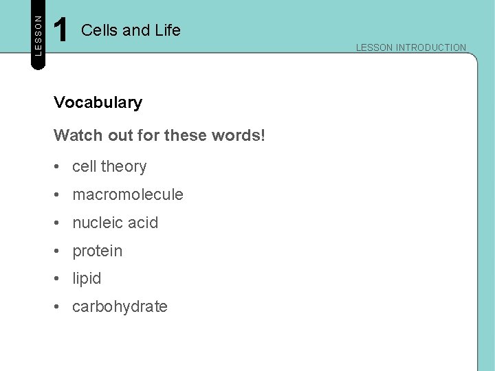 LESSON 1 Cells and Life Vocabulary Watch out for these words! • cell theory LESSON 1 Cells and Life Vocabulary Watch out for these words! • cell theory