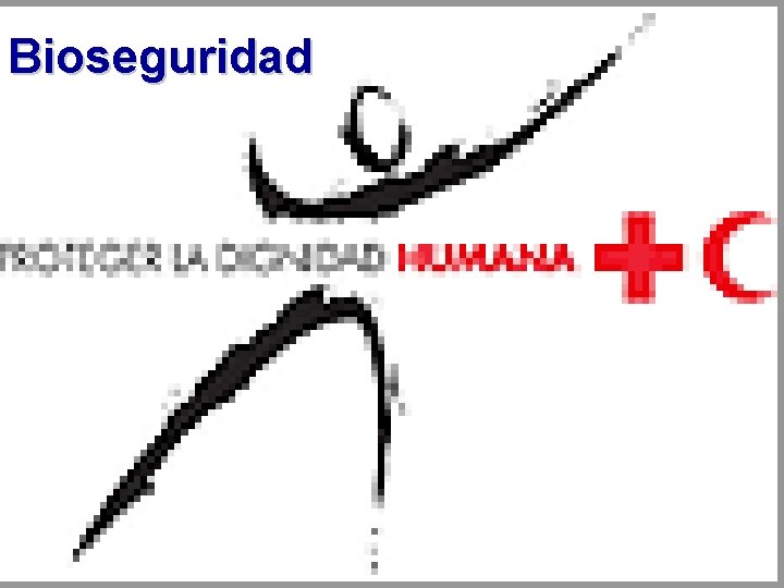 Bioseguridad 