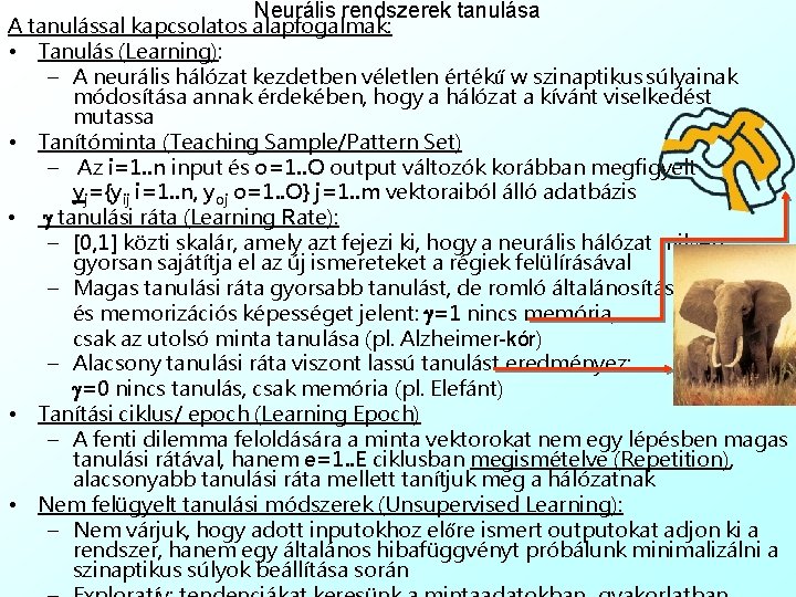 Neurális rendszerek tanulása A tanulással kapcsolatos alapfogalmak: • Tanulás (Learning): – A neurális hálózat