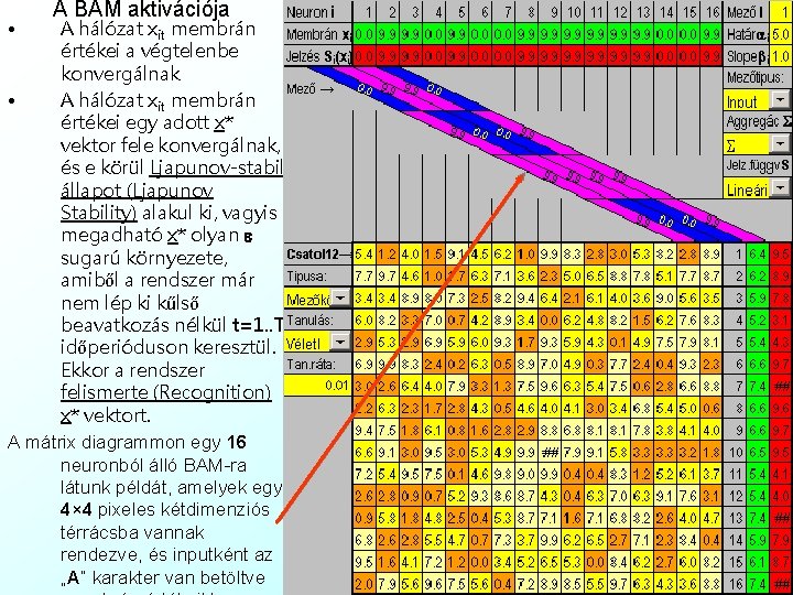  • A BAM aktivációja A hálózat xit membrán értékei a végtelenbe konvergálnak •