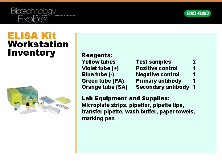 ELISA Kit Workstation Inventory Reagents: Yellow tubes Violet tube (+) Blue tube (-) Green