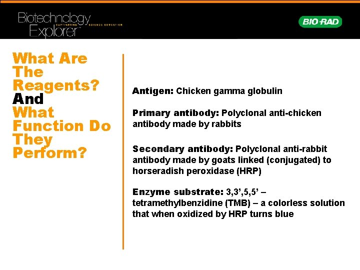 What Are The Reagents? And What Function Do They Perform? Antigen: Chicken gamma globulin