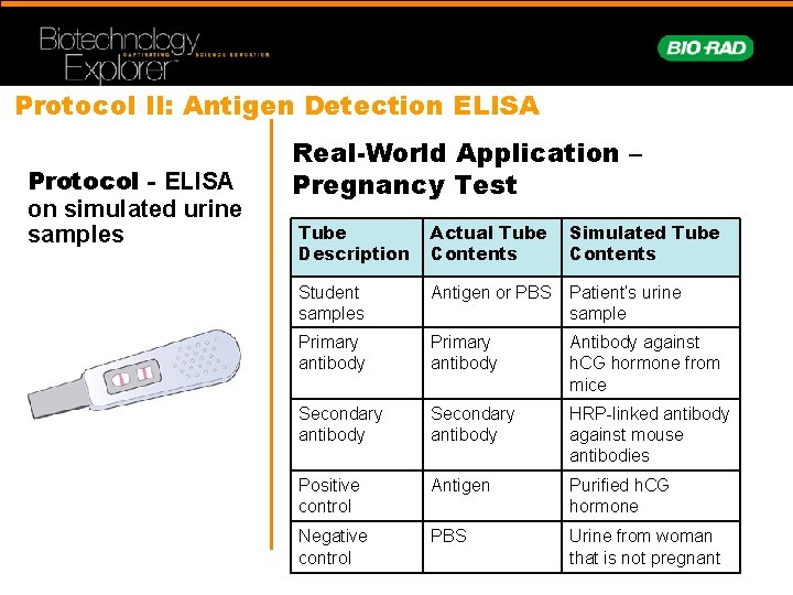 Protocol II: Antigen Detection ELISA Protocol - ELISA on simulated urine samples Real-World Application