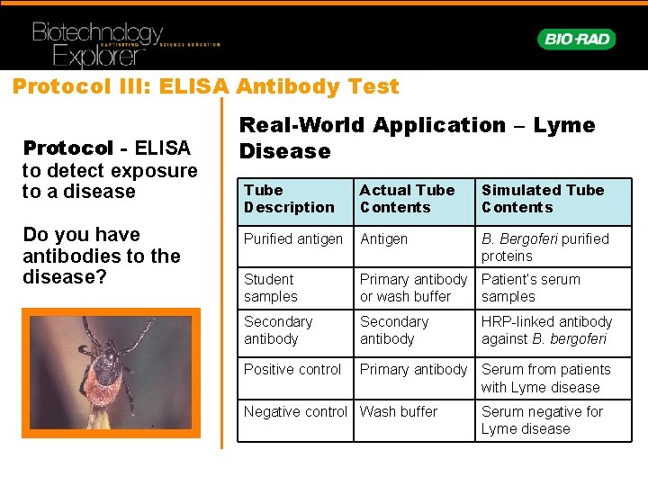 Protocol III: ELISA Antibody Test Protocol - ELISA to detect exposure to a disease