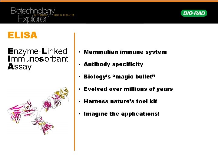 ELISA Enzyme-Linked Immunosorbant Assay • Mammalian immune system • Antibody specificity • Biology’s “magic
