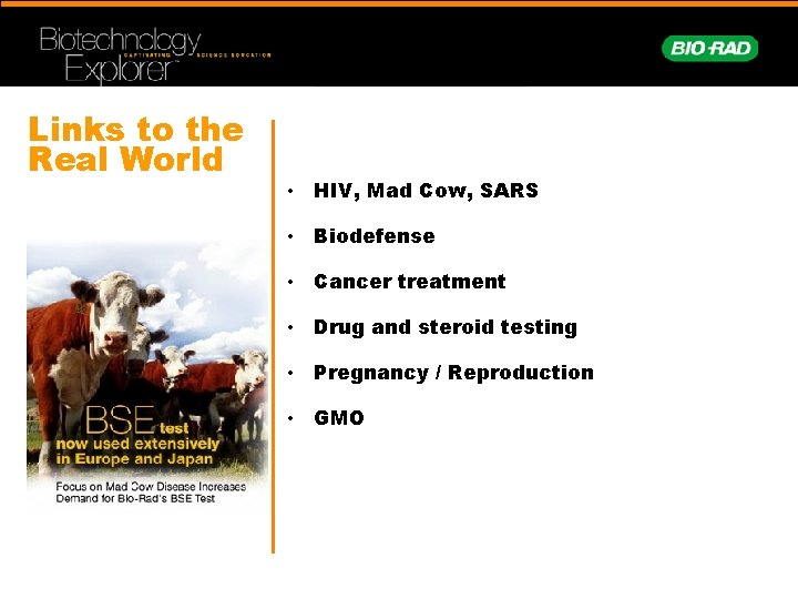 Links to the Real World • HIV, Mad Cow, SARS • Biodefense • Cancer