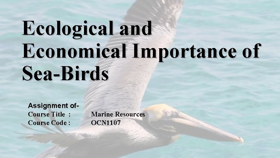 Ecological and Economical Importance of Sea-Birds Assignment of. Course Title : Course Code :