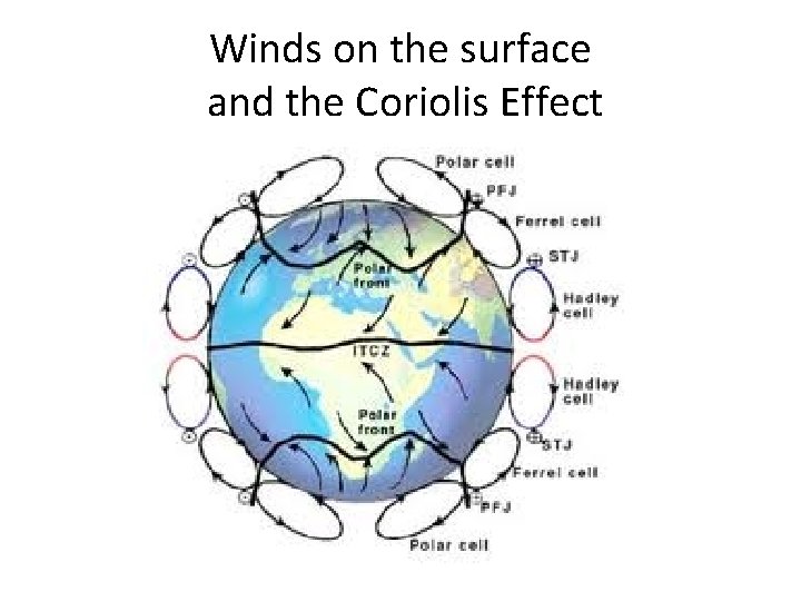 Winds on the surface and the Coriolis Effect Winds on the surface and the Coriolis Effect