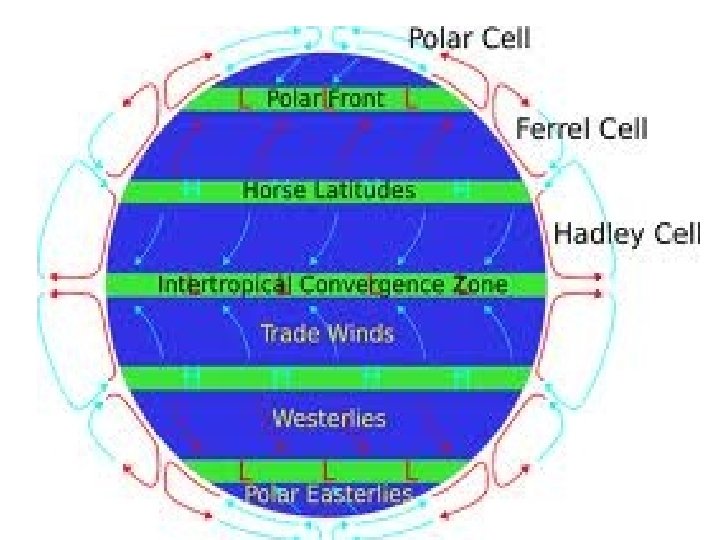 Prevailing winds • Between the equator and the horse latitudes • Between the horse Prevailing winds • Between the equator and the horse latitudes • Between the horse