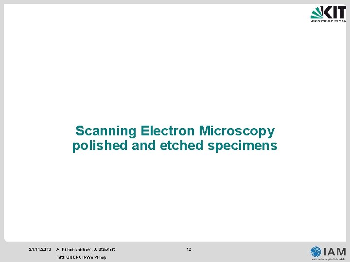 Scanning Electron Microscopy polished and etched specimens 21. 11. 2013 A. Pshenichnikov , J.
