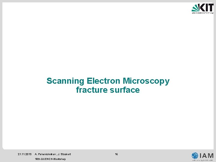 Scanning Electron Microscopy fracture surface 21. 11. 2013 A. Pshenichnikov , J. Stuckert 19