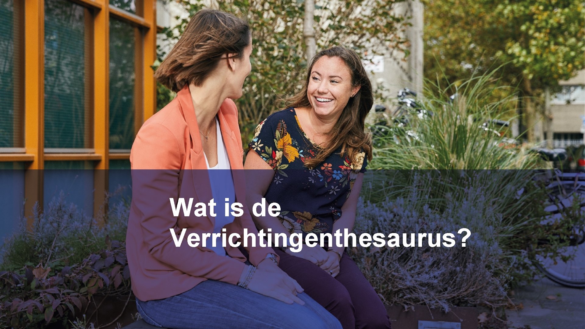 Wat is de Verrichtingenthesaurus? 