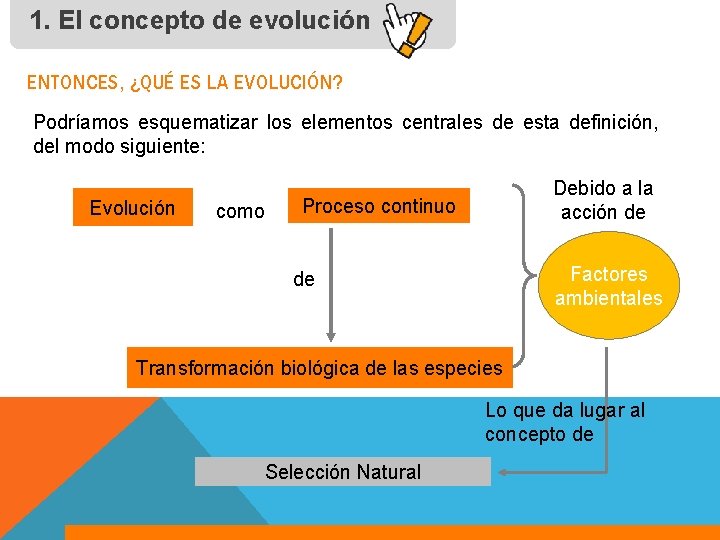 1. El concepto de evolución ENTONCES, ¿QUÉ ES LA EVOLUCIÓN? Podríamos esquematizar los elementos
