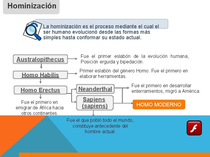 Hominización La hominización es el proceso mediante el cual el ser humano evolucionó desde