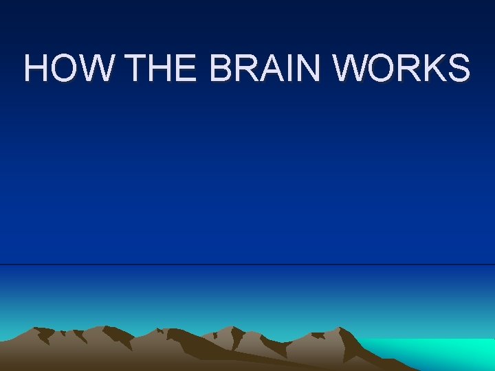 HOW THE BRAIN WORKS 