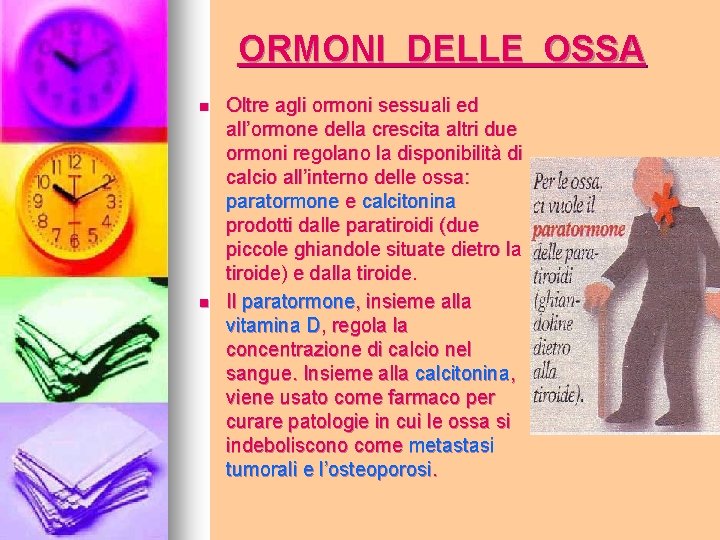 ORMONI DELLE OSSA n n Oltre agli ormoni sessuali ed all’ormone della crescita altri