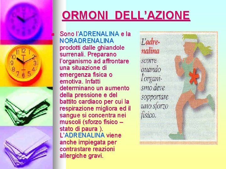 ORMONI DELL’AZIONE n Sono l’ADRENALINA e la NORADRENALINA prodotti dalle ghiandole surrenali. Preparano l’organismo