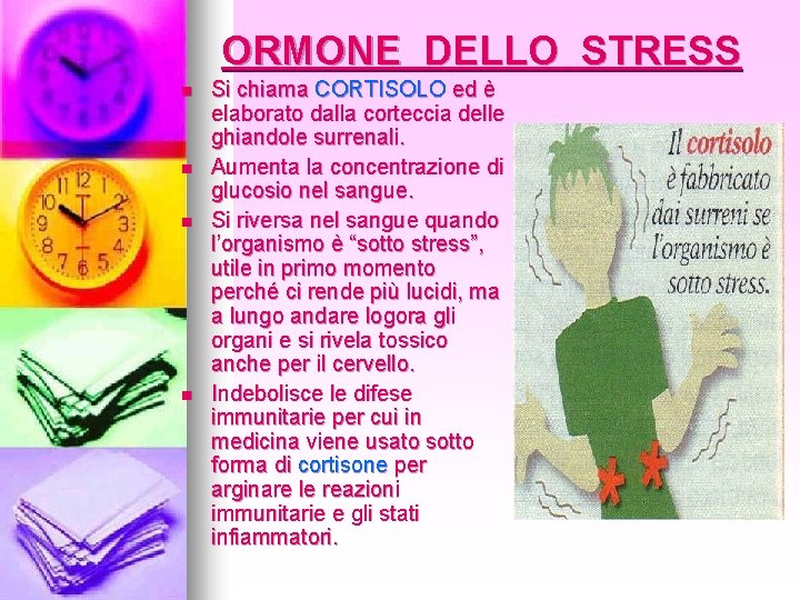 ORMONE DELLO STRESS n n Si chiama CORTISOLO ed è elaborato dalla corteccia delle