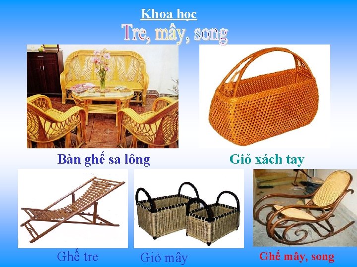 Khoa học Bàn ghế sa lông Ghế tre Giỏ mây Giỏ xách tay Ghế