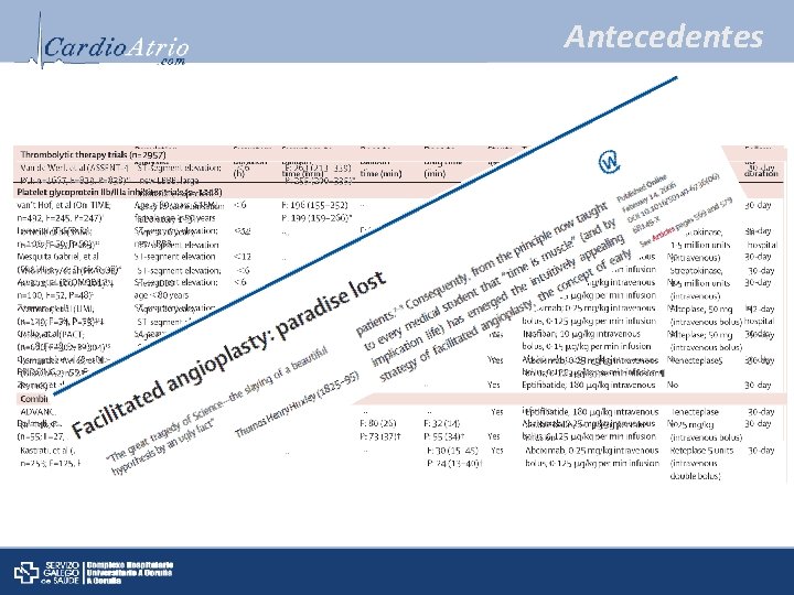 Antecedentes 