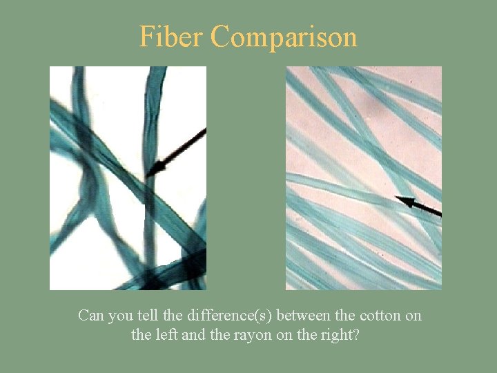 Fiber Comparison Can you tell the difference(s) between the cotton on the left and