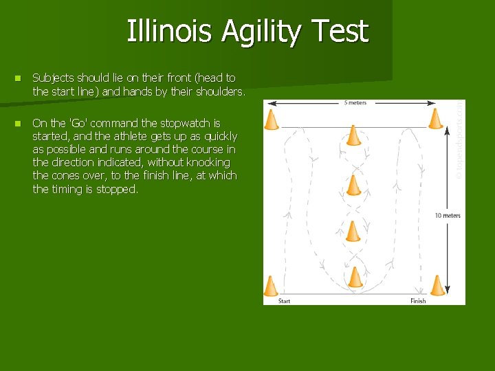 Illinois Agility Test n Subjects should lie on their front (head to the start Illinois Agility Test n Subjects should lie on their front (head to the start