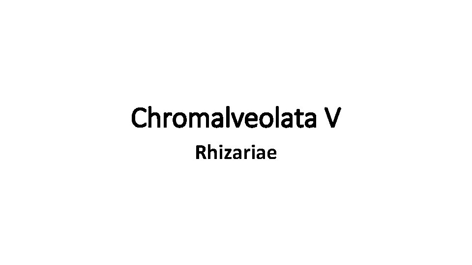 Chromalveolata V Rhizariae 