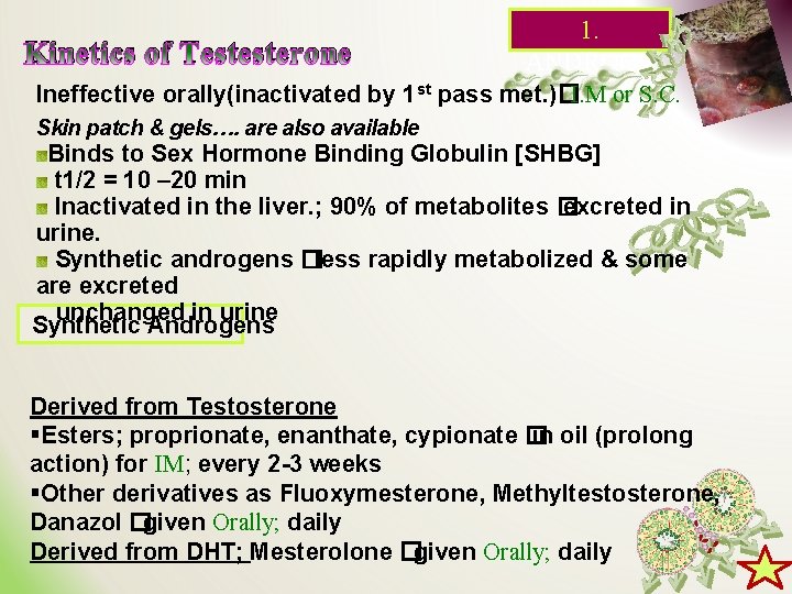 1. Kinetics of Testesterone ANDROGE Ineffective orally(inactivated by 1 st pass met. )�I. M