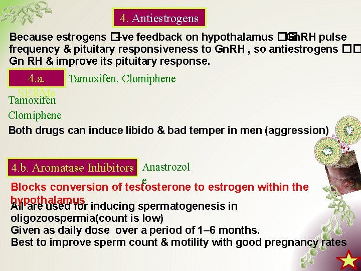 4. Antiestrogens Because estrogens �–ve feedback on hypothalamus �� Gn. RH pulse frequency &