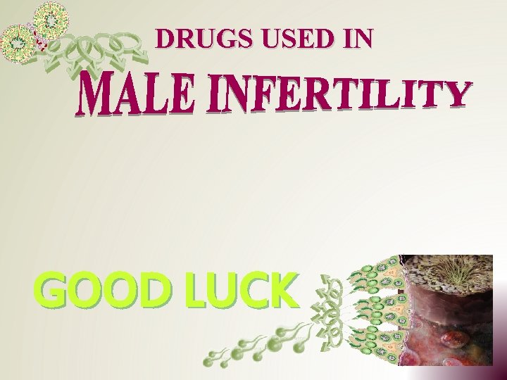 DRUGS USED IN GOOD LUCK 